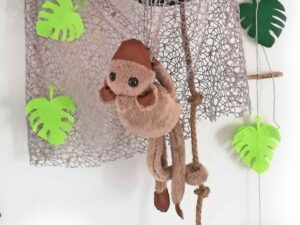 petit singe